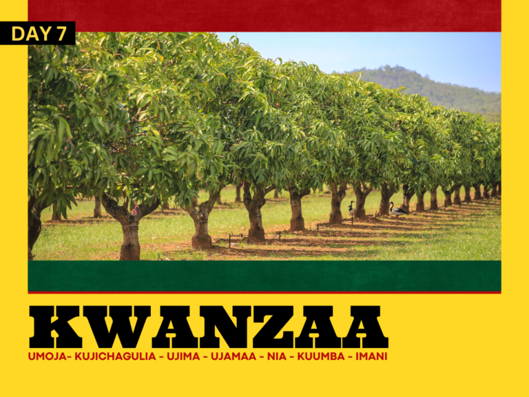 Umoja: A Continuous Journey of Unity and Growth